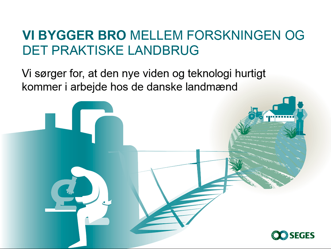 Seges forskning